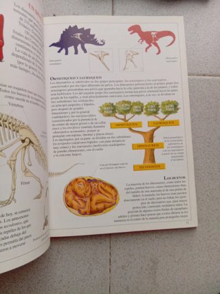 Dinosaurios. Y Gerónimo Stilton