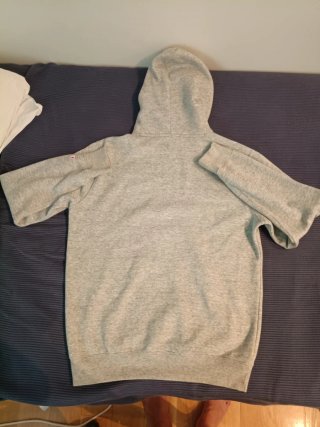 Sudadera Champion Gris con Capucha