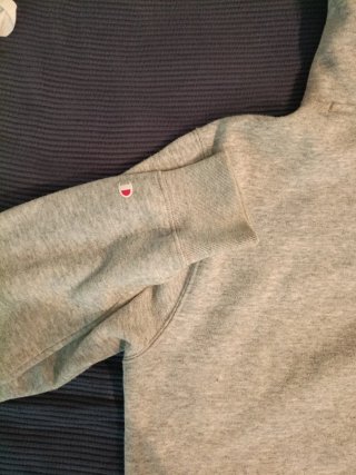 Sudadera Champion Gris con Capucha