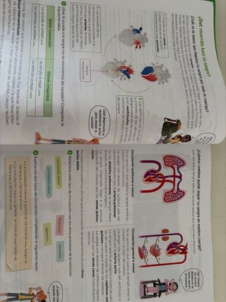 Conocimiento del medio natural, social y cultur...