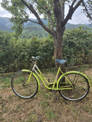 Bicicleta Varillas TORROT Vintage Años 70