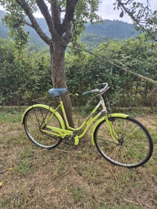 Bicicleta Varillas TORROT Vintage Años 70