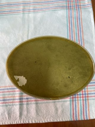 Muñecos Vintage Pareja Traje Típico