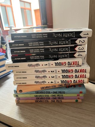 Se vende mangas