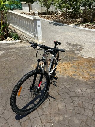 Bicicleta Monty