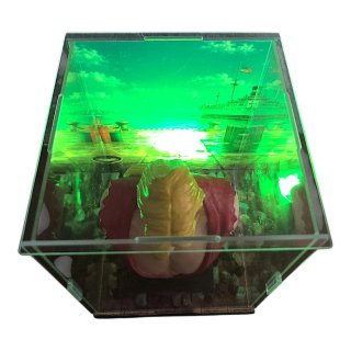 Busto Ken Masters Street Fighter LED Teca