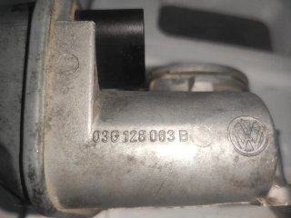 EGR y Mariposa Admisió Volkswagen
