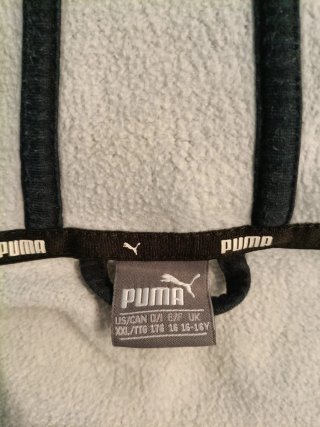 Sudadera Puma Gris con Capucha