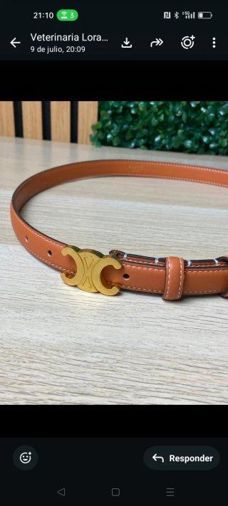 Cintura Celine Marrone e Oro