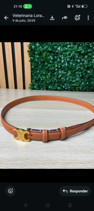 Cintura Celine Marrone e Oro