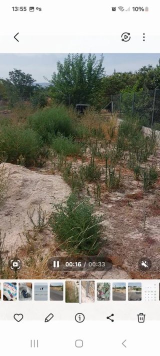 Se vende parcela  de 608m2 ,vallada, la Ñora
