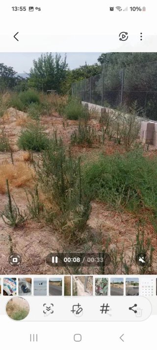 Se vende parcela  de 608m2 ,vallada, la Ñora