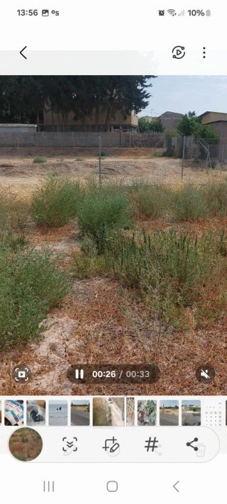Se vende parcela  de 608m2 ,vallada, la Ñora