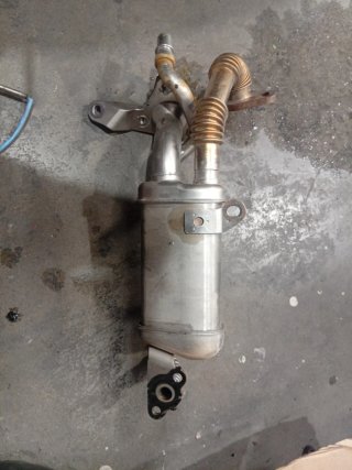 Enfriador EGR DCI