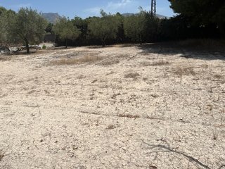 Parcela o terreno en casa de campo para alquiler