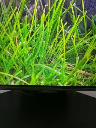 SAMSUNG TV Q80C QLED 55"