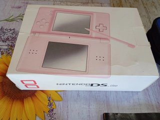 Nintendo DS Lite Rosa CIB + Giochi