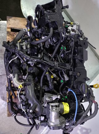 Motor ford kvja fiesta vi (cb1, ccn) rectp5143215