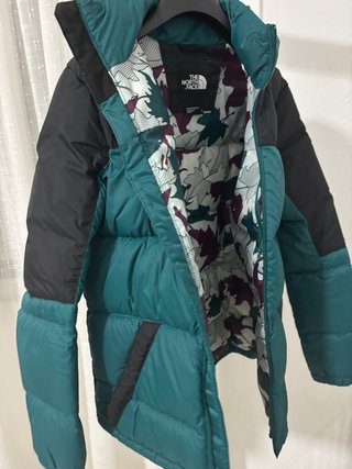 Chaqueta The North Face Negra y Verde