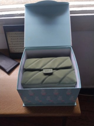 Bolso verde con cadena plateada