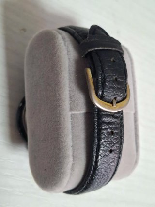 Reloj Casio AQ-27.