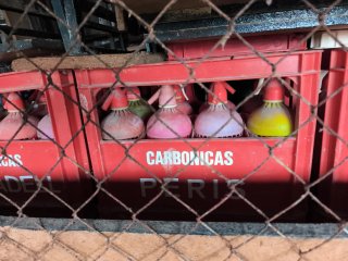 Sifon Carbonicas Peris