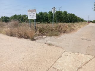 Campo de naranjos 9 anegadas 8000m2