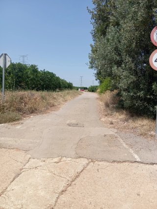Campo de naranjos 9 anegadas 8000m2