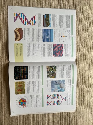Libro Física y Química 4 ESO Editorial Santillana