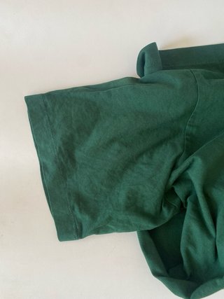 Camiseta Beastie Boys Check Your Head Verde