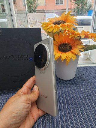 Vivo X100 1TB Argento