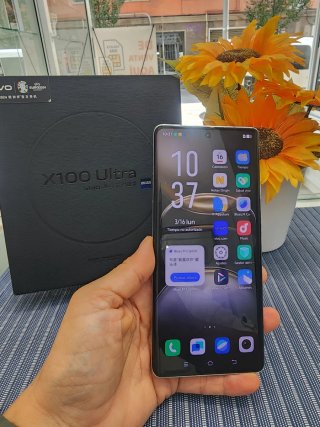 Vivo X100 1TB Argento