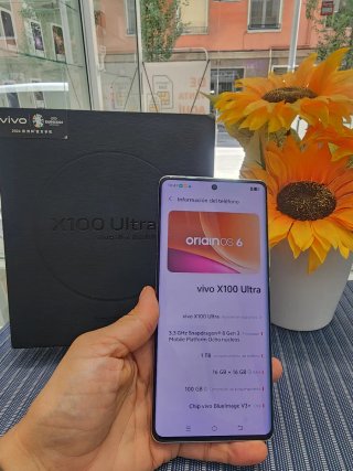 Vivo X100 1TB Argento