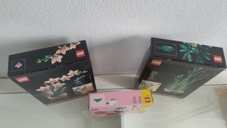 Lego Botanicals: Mini Orchid e Lucky Bamboo, Roses