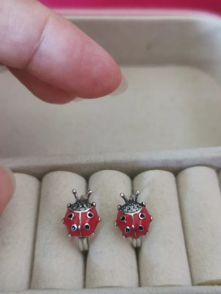 Pendientes Mariquita Rojos y Plateados