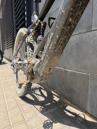 Orbea Wild M20 Carbono 2024 Negra