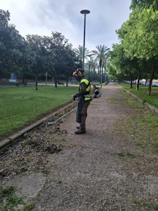 Desbroce y mantenimiento de jardines