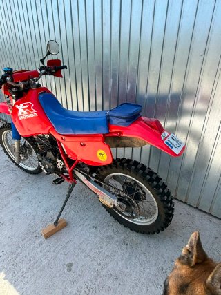 Honda XR600R Arranque Eléctrico