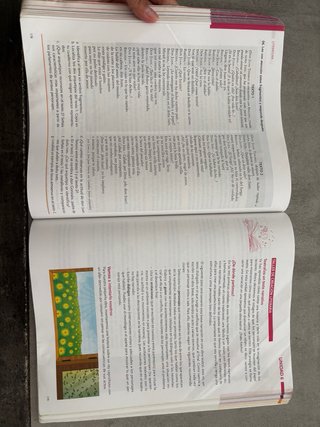 Lengua Castellana y Literatura, 2 ESO, Proyecto...
