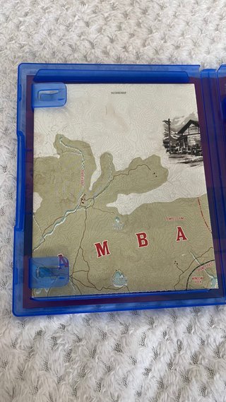 Red Dead Redemption II