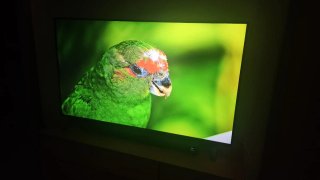 TV LG 55 pulgadas 55UN80006LA