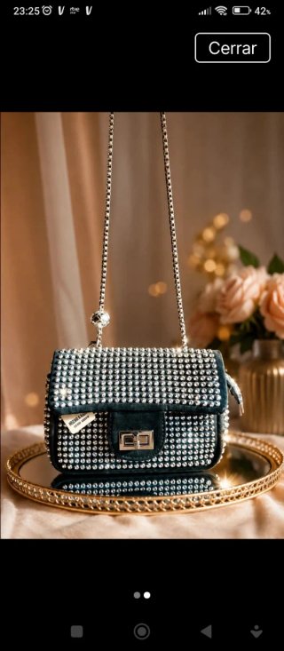 Bolso espectacular pedrería
