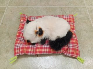 Gatito Siamés realista con sonido Maúlla! (NUEVO)