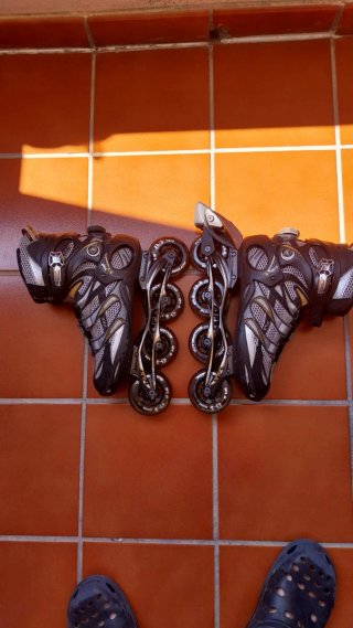 Patines Fila Primo con Ruedas Rollerblade talla 43