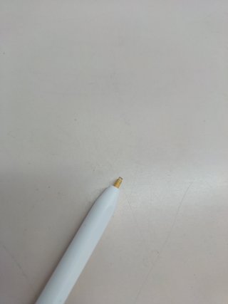 Apple Pencil Pro matita digitale per iPad