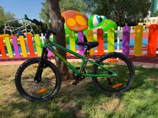 Bicicleta Ring 20 montañera con cambios