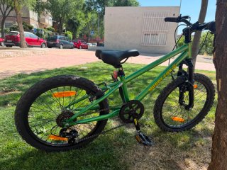 Bicicleta Ring 20 montañera con cambios