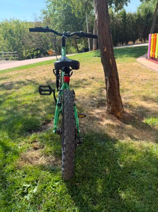 Bicicleta Ring 20 montañera con cambios