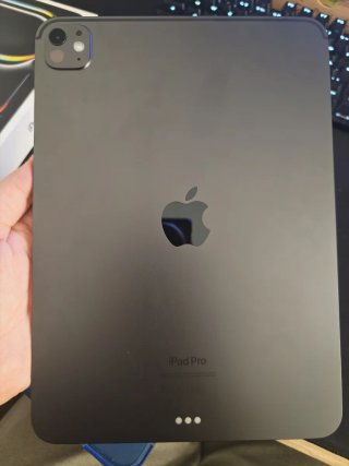 iPad Pro M4 11 256GB Argento