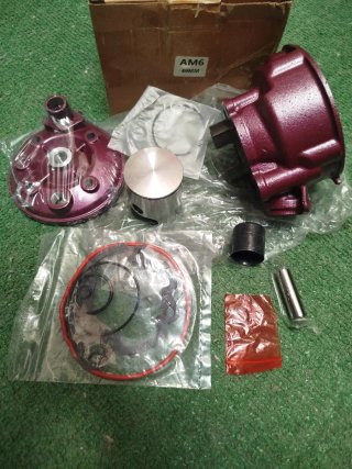 Cilindro 74 Rosa AM5 AM6 NUEVO Rieju RR Yamaha TZR
